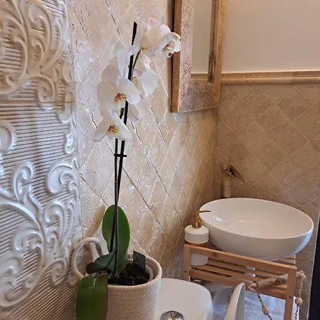 Luna كوستِنيست