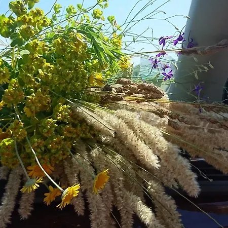 Luna 3* كوستِنيست