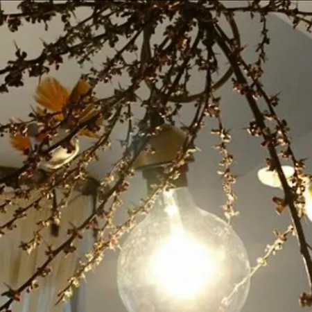 بيت ضيافة Luna