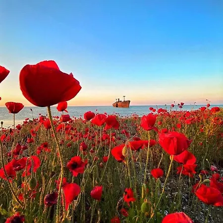 بيت ضيافة Luna كوستِنيست