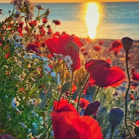 بيت ضيافة Luna